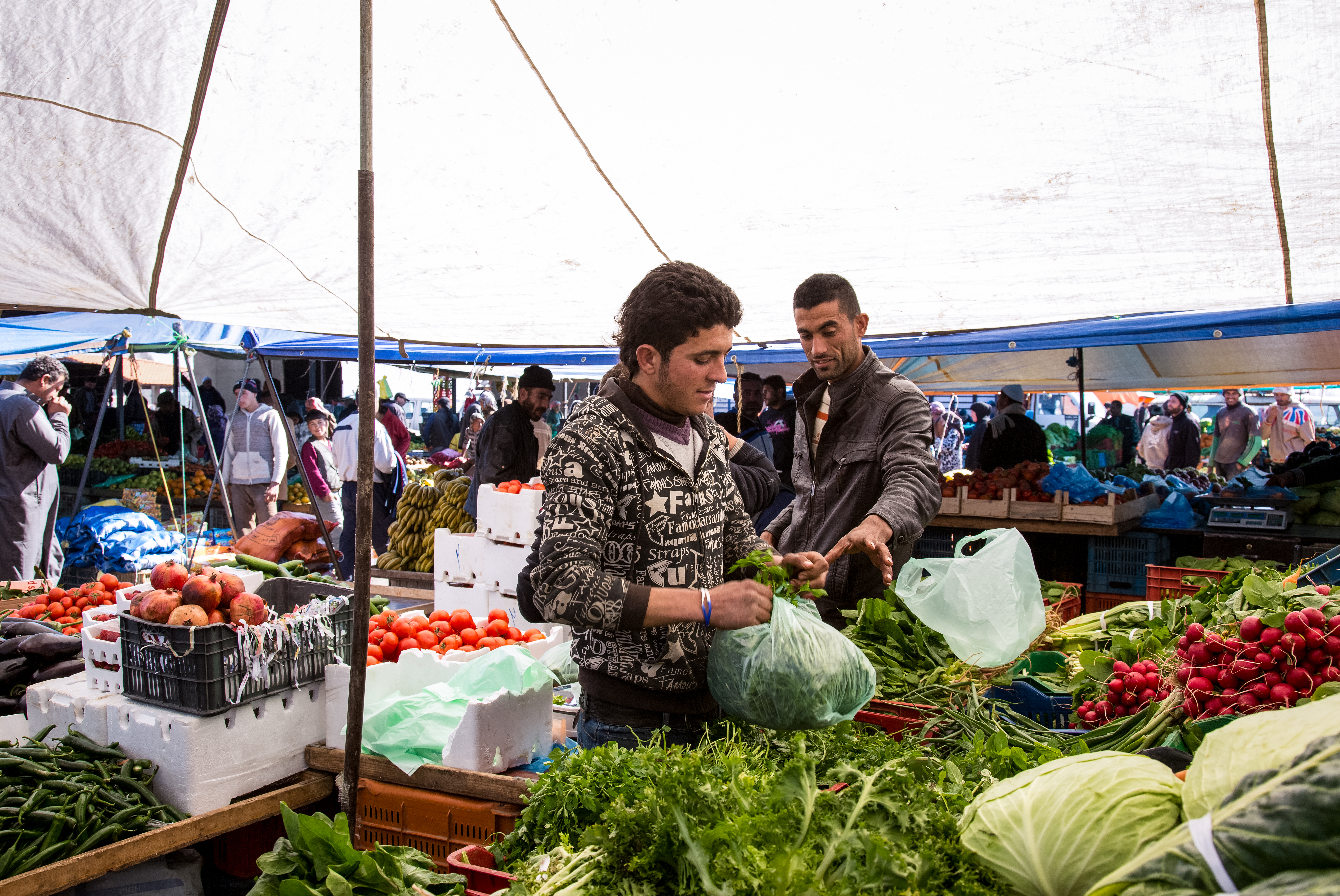 UNDP-Lebanon-2014_work_refugee_02.jpg