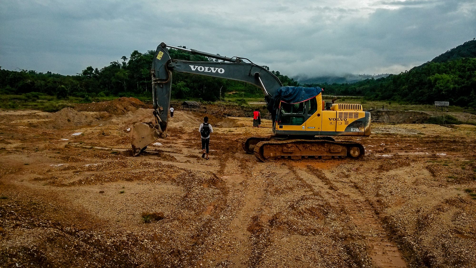 A bulldozer clears mangrove forest to establish a shrimp farm.