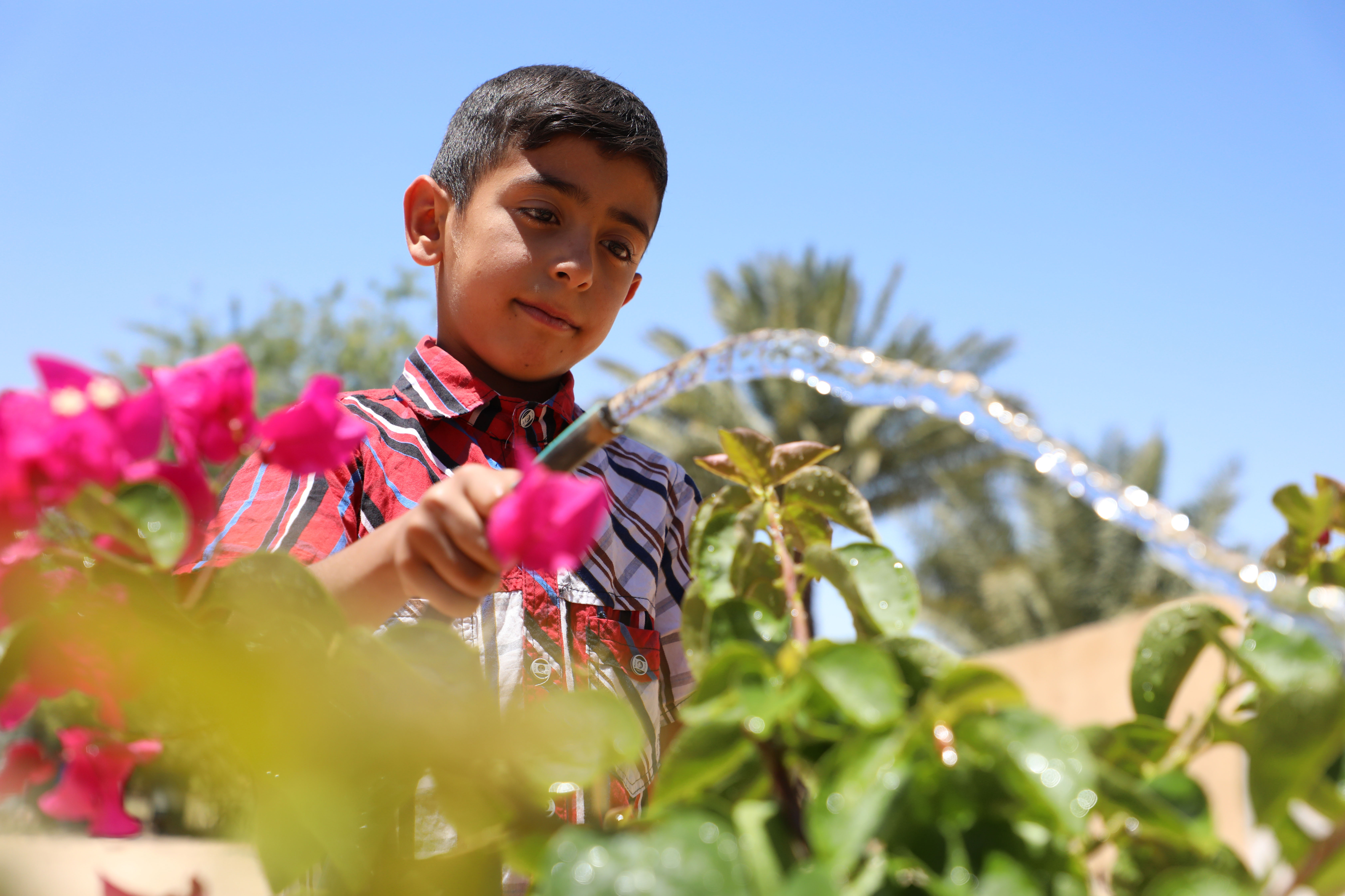 a person holding a flower