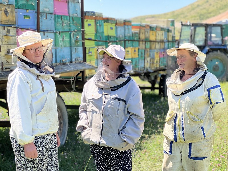 three women beekeepers standing in the grass and looking each other. Many bee houses are in their background. 