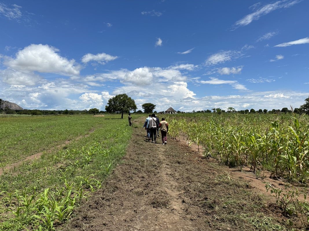 a group of people walking down a dirt road