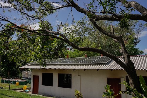 a tree in front of a house